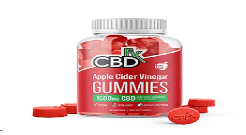 7 Things To Keep In Mind While Purchasing CBD Gummies Online