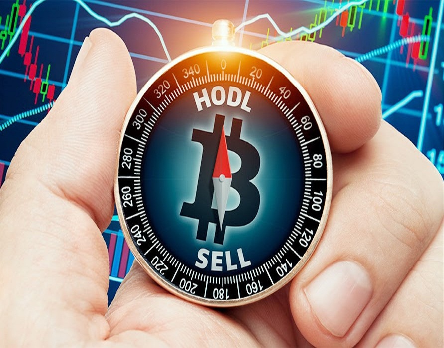 Bitcoin Lingo That Every Crypto Newbie Should Be Aware Of