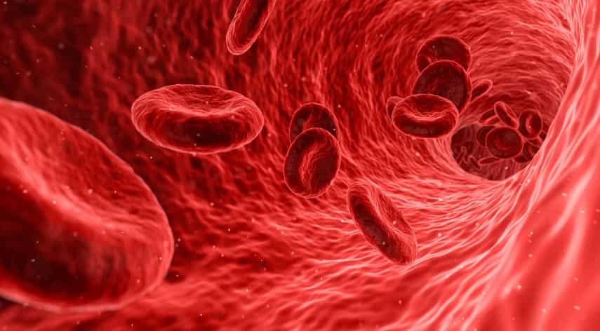 blood flow