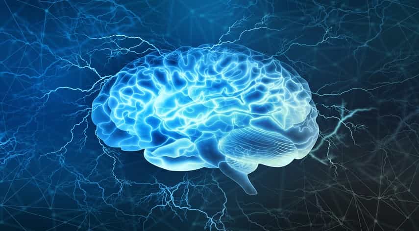 brain healthy