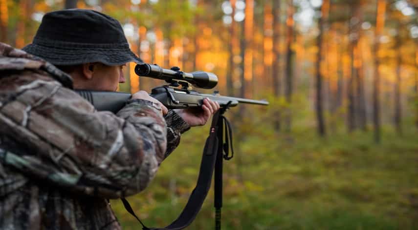 deer hunting for beginners