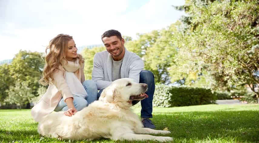 family friendly dogs