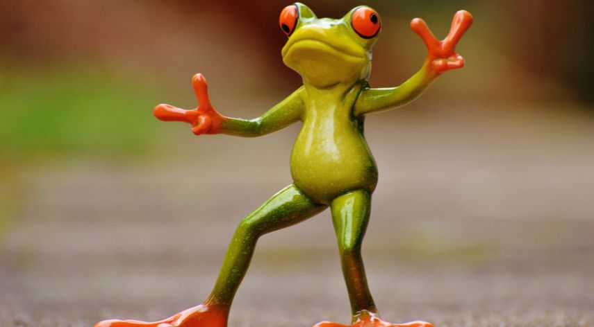 Froglvrxx