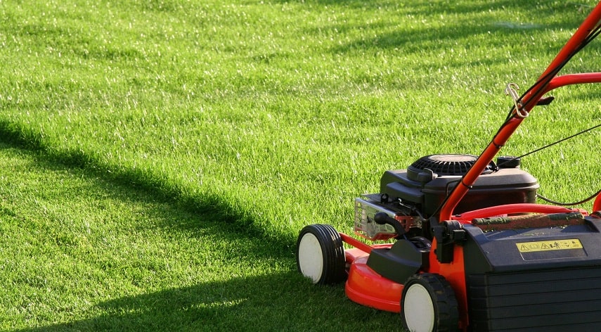 landscaping business ideas