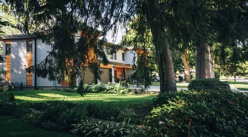 lawn care