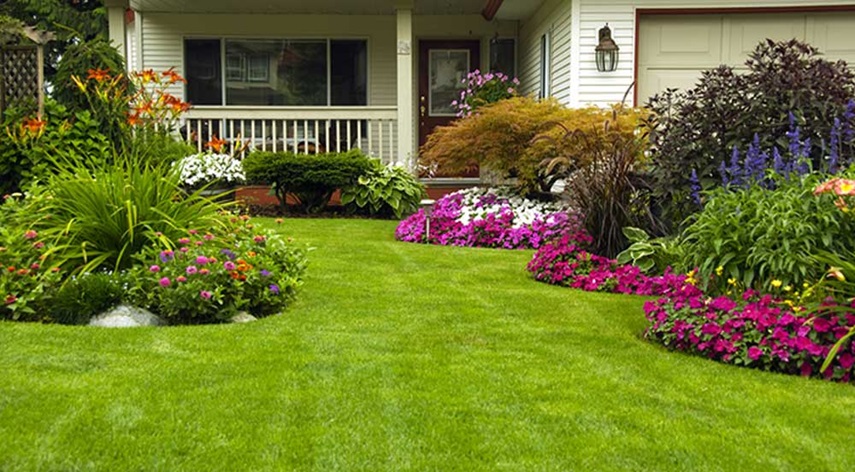 lawn-care