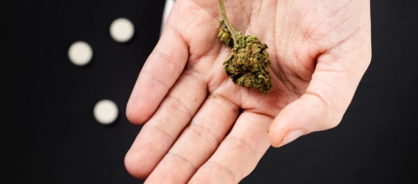 MEDICAL CANNABIS