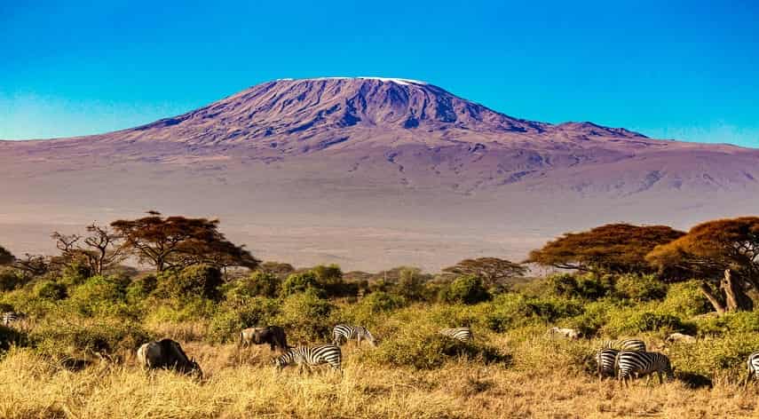 Mt Kilimanjaro