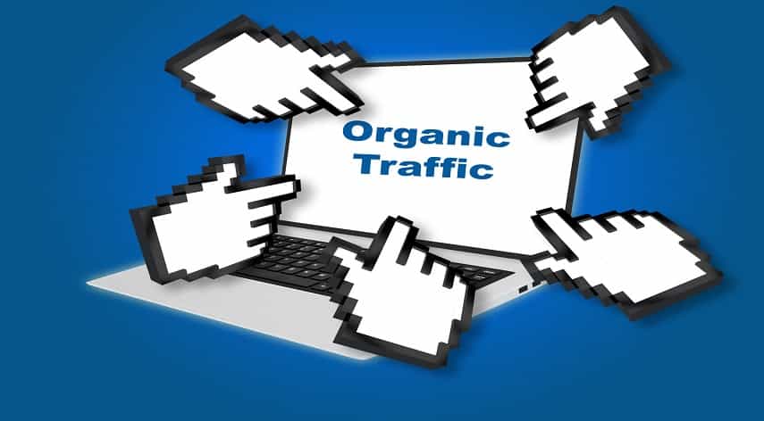 Organic Traffic