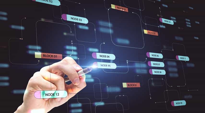 program planning