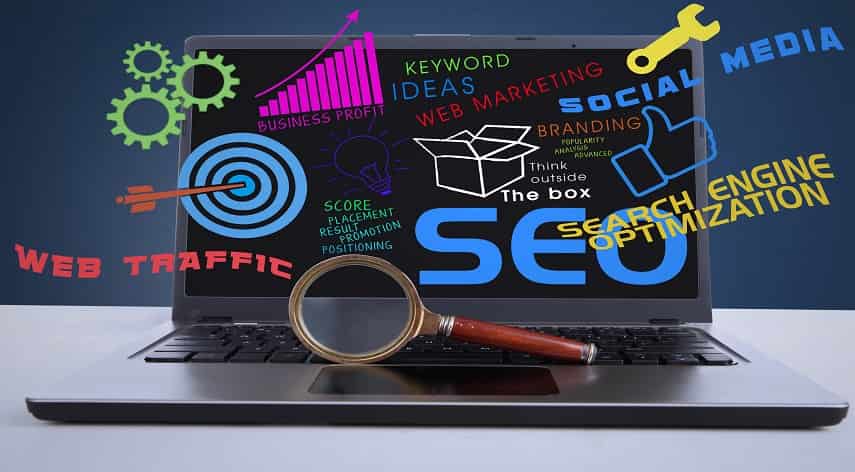 seo expert