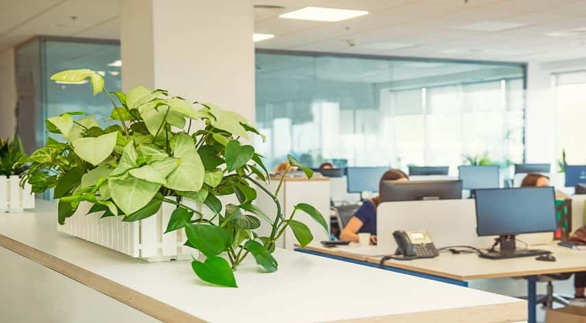 sustainable office