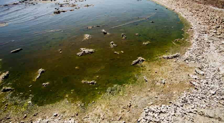 Water contamination