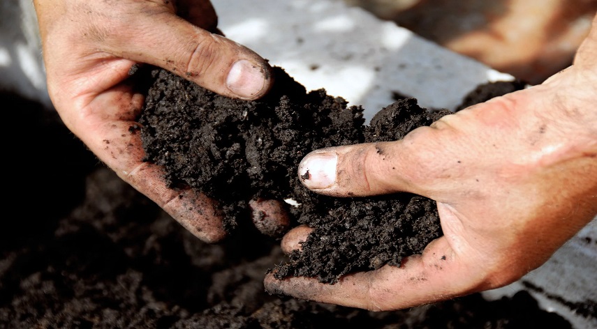 what does fertilizer do for grass