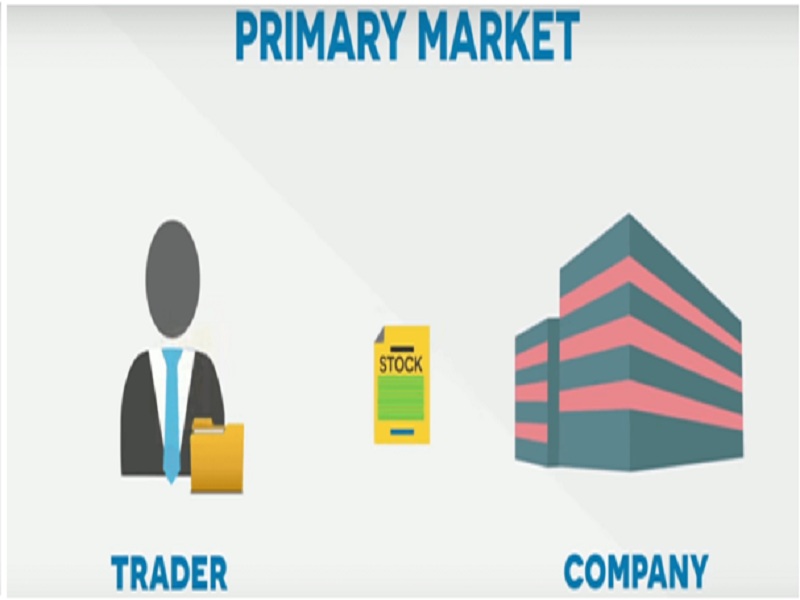 What is the primary market?