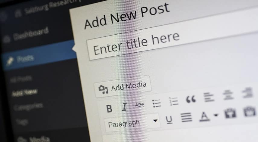 wordpress consulting