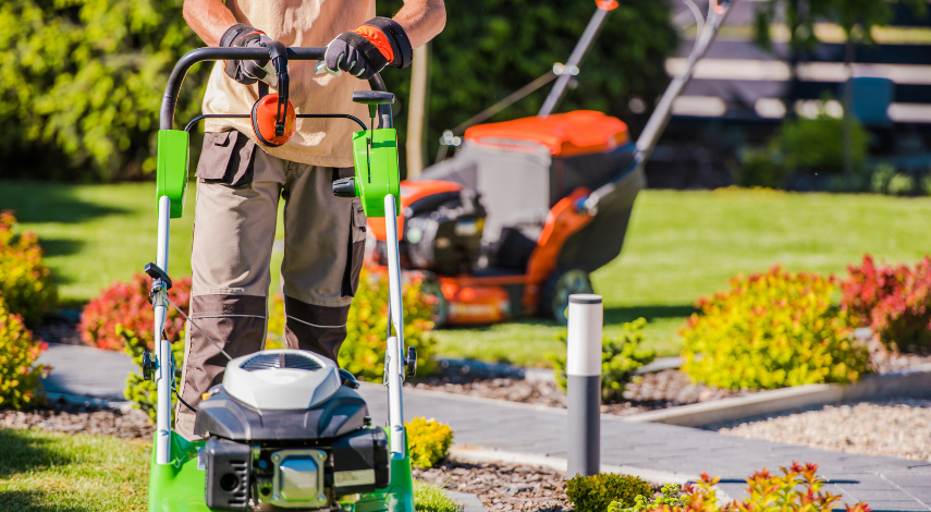 Hiring Professional Lawn Care Services
