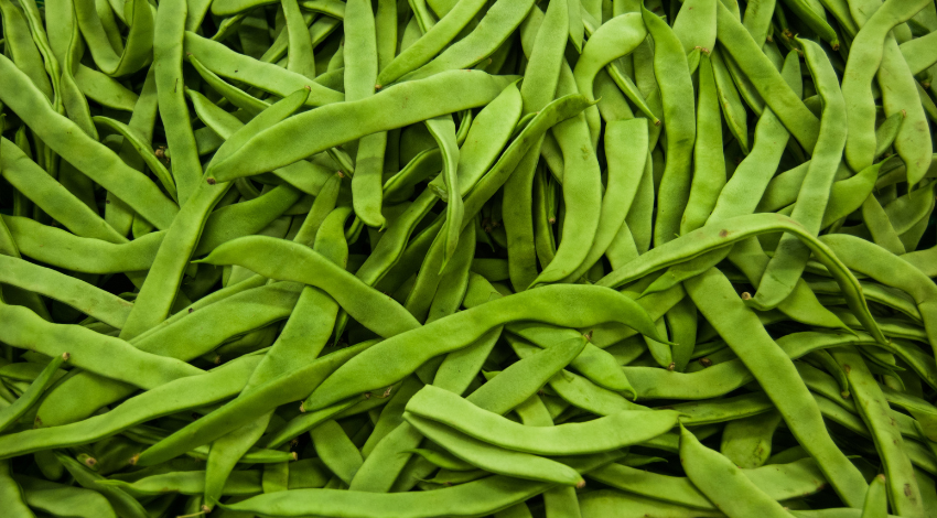 https://tanfacil.net/cocina/como-congelar-judias-verdes-2-3938.html