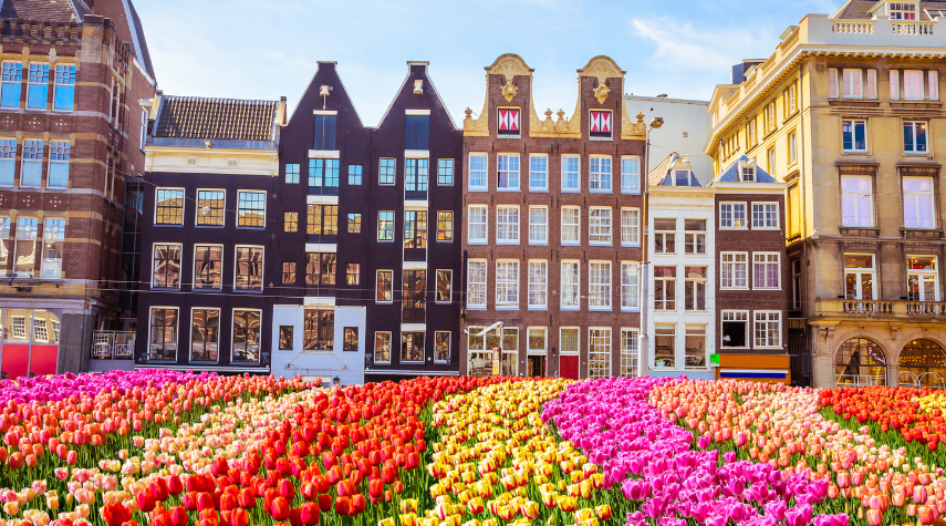 amsterdam.2022.720p.cam.x264-idiots
