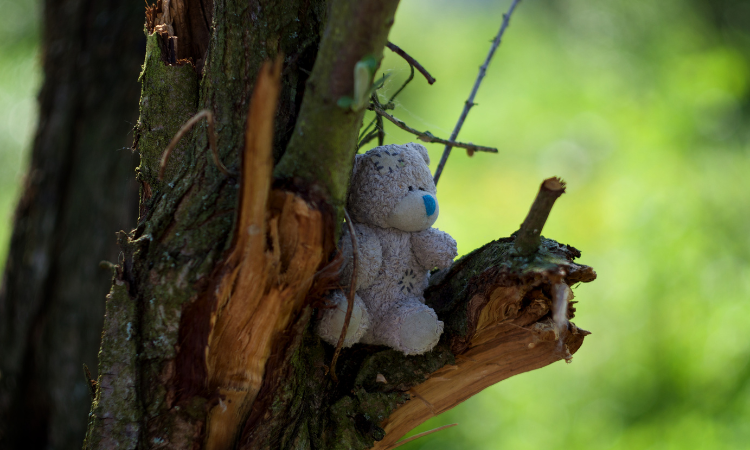 Gwinie the pooh